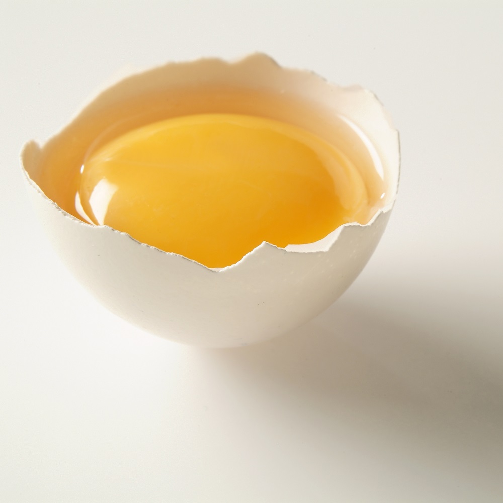 Eiwit Eggstra