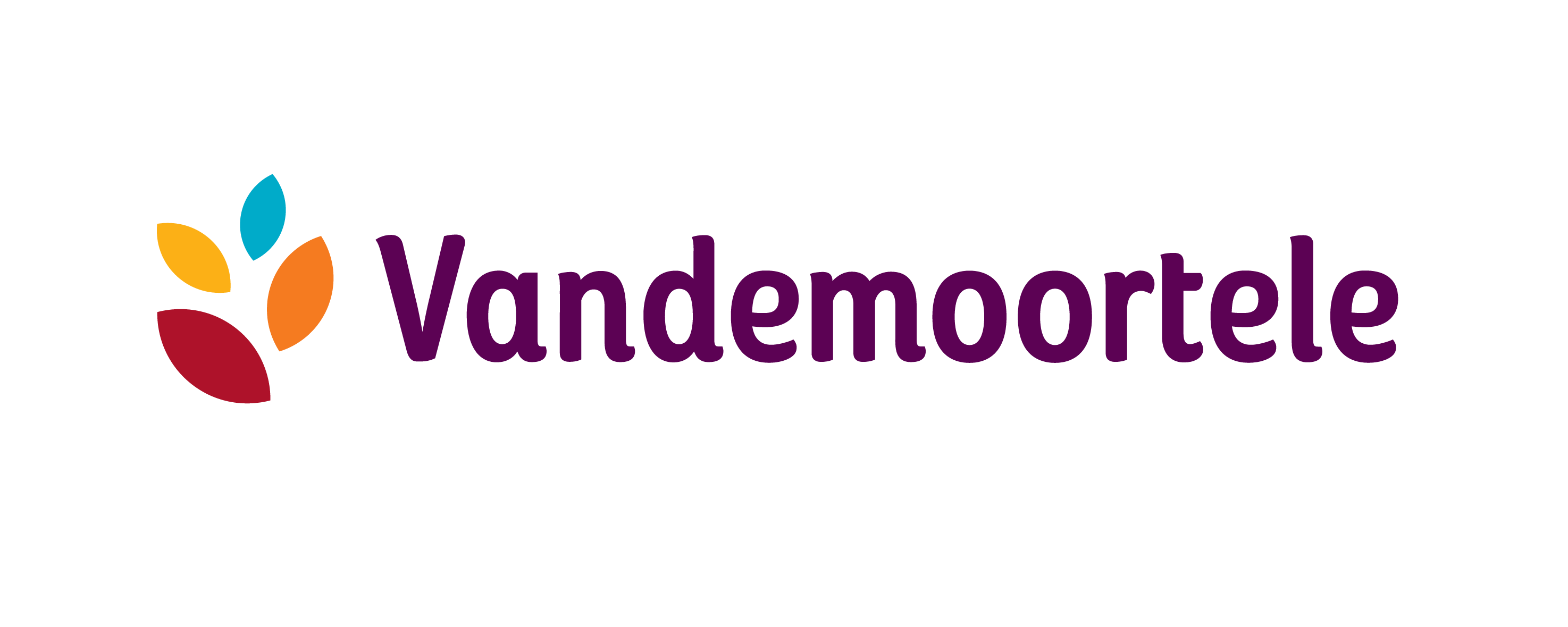 Van de moortele logo