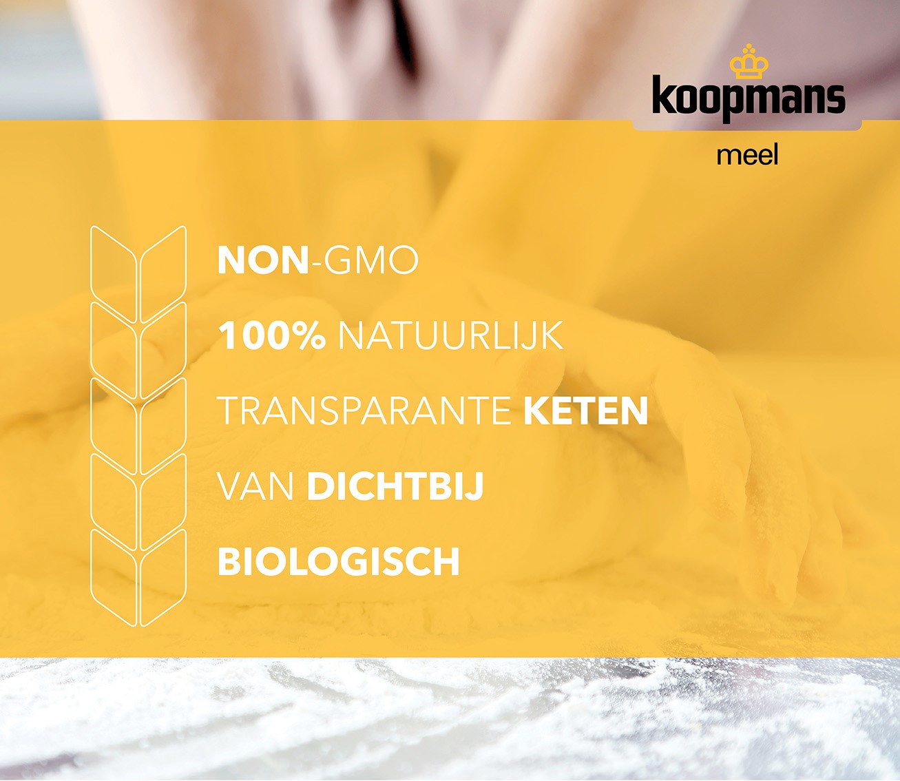 Koopmans Natuurkracht