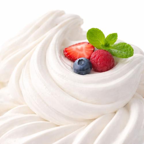 Comprital P396 Speedy Yoghurt 