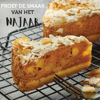 dawn_najaar_online.png