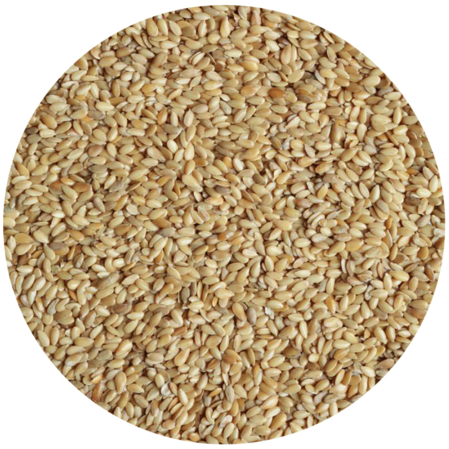 Lijnzaad Geel 25 Kg