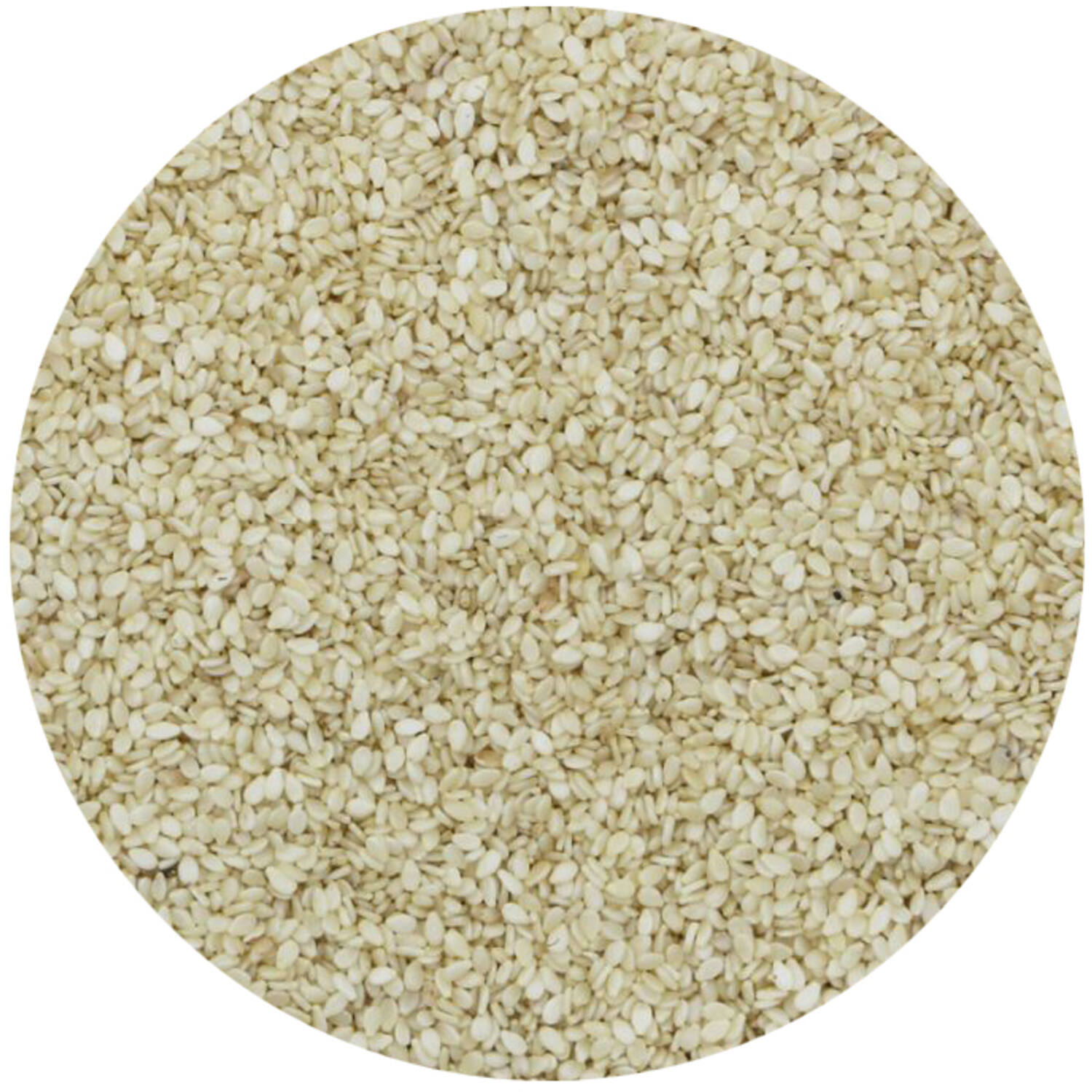 Bio Ongepeld Sesamzaad 25 Kg Nl-Bio-01