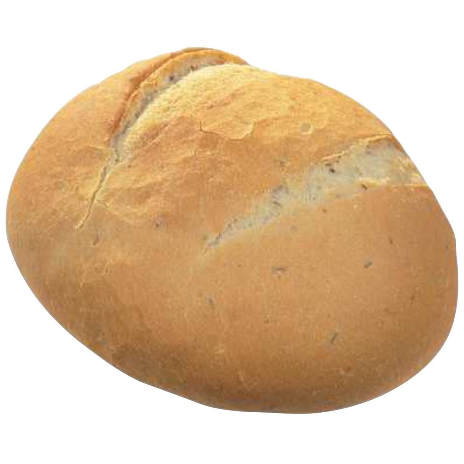 VDM B137 Italiaanse Bollen (36)