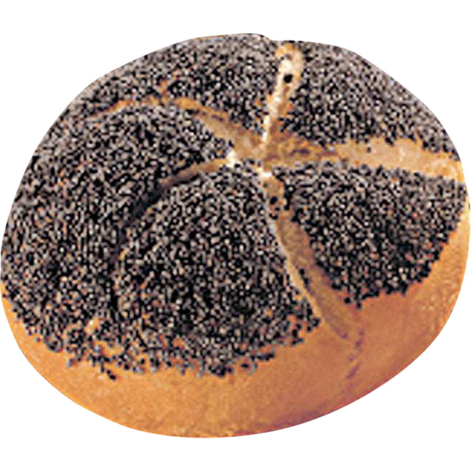B156 Kaiserbroodjes Met Maanzaad 60 g (50)