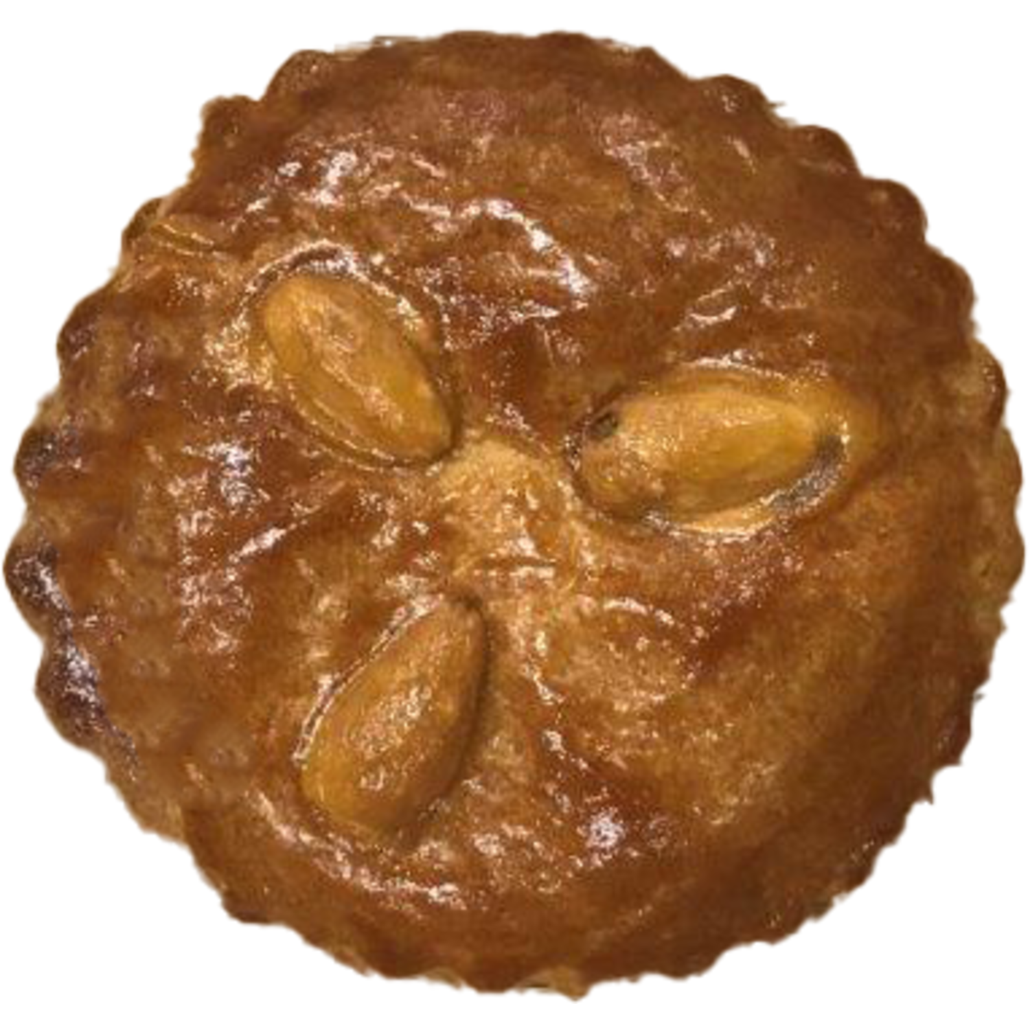 Van Maanen Gevulde Koek 100g (50)