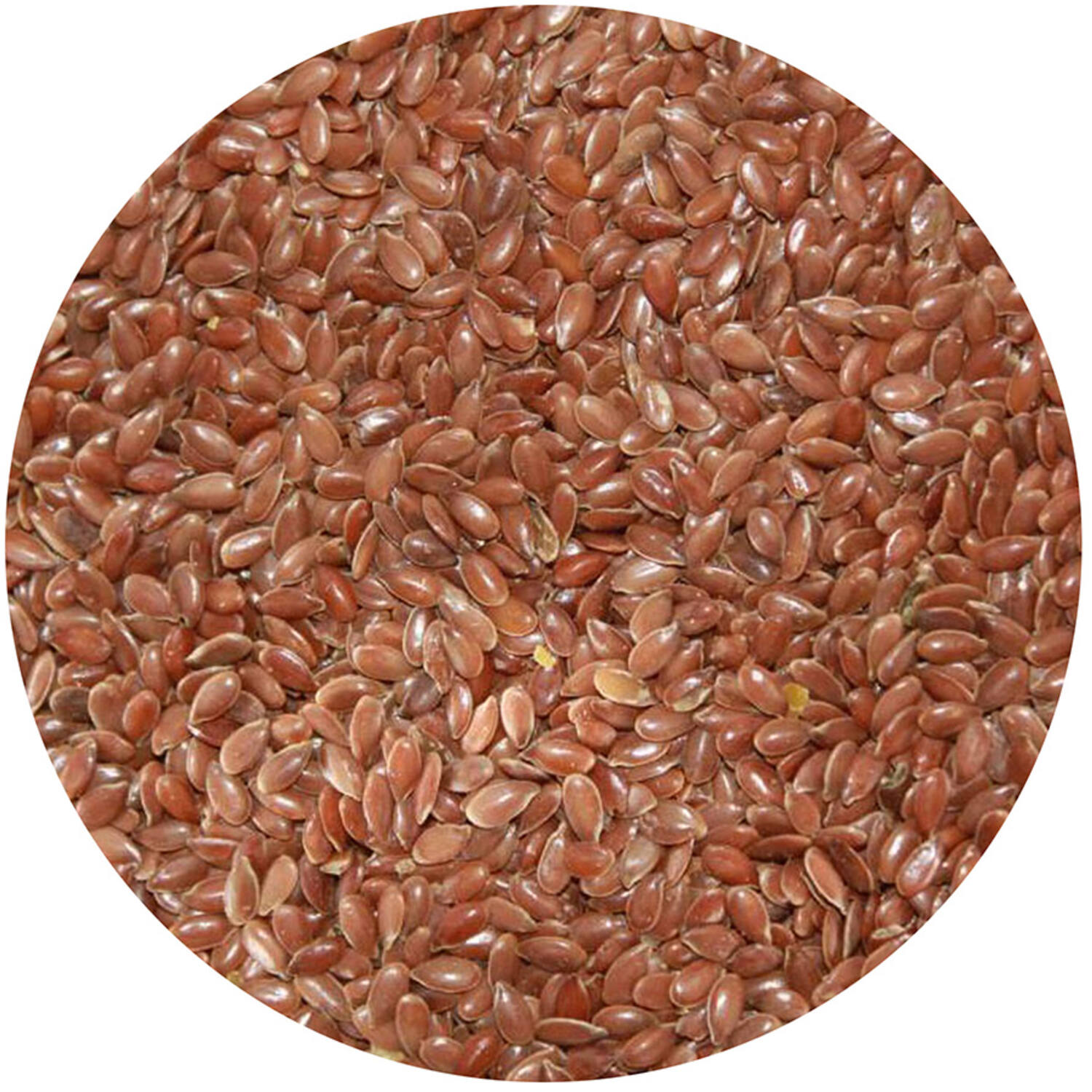 Lijnzaad 5 kg