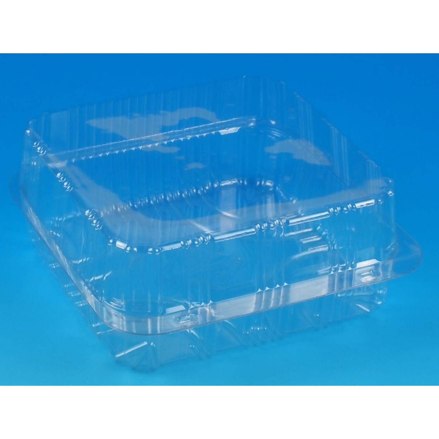 Blisterverpakking RPET transparant 170x170x80mm (320)