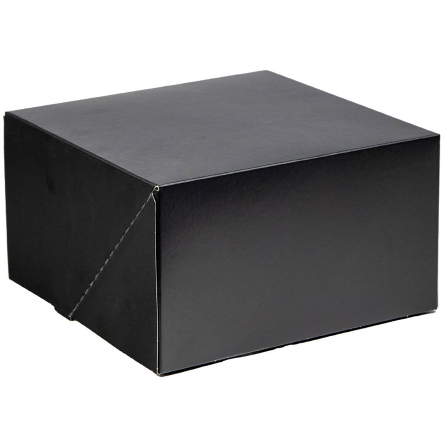 Gebaksdoos Zwart Diepvries 21x21x12cm (50)