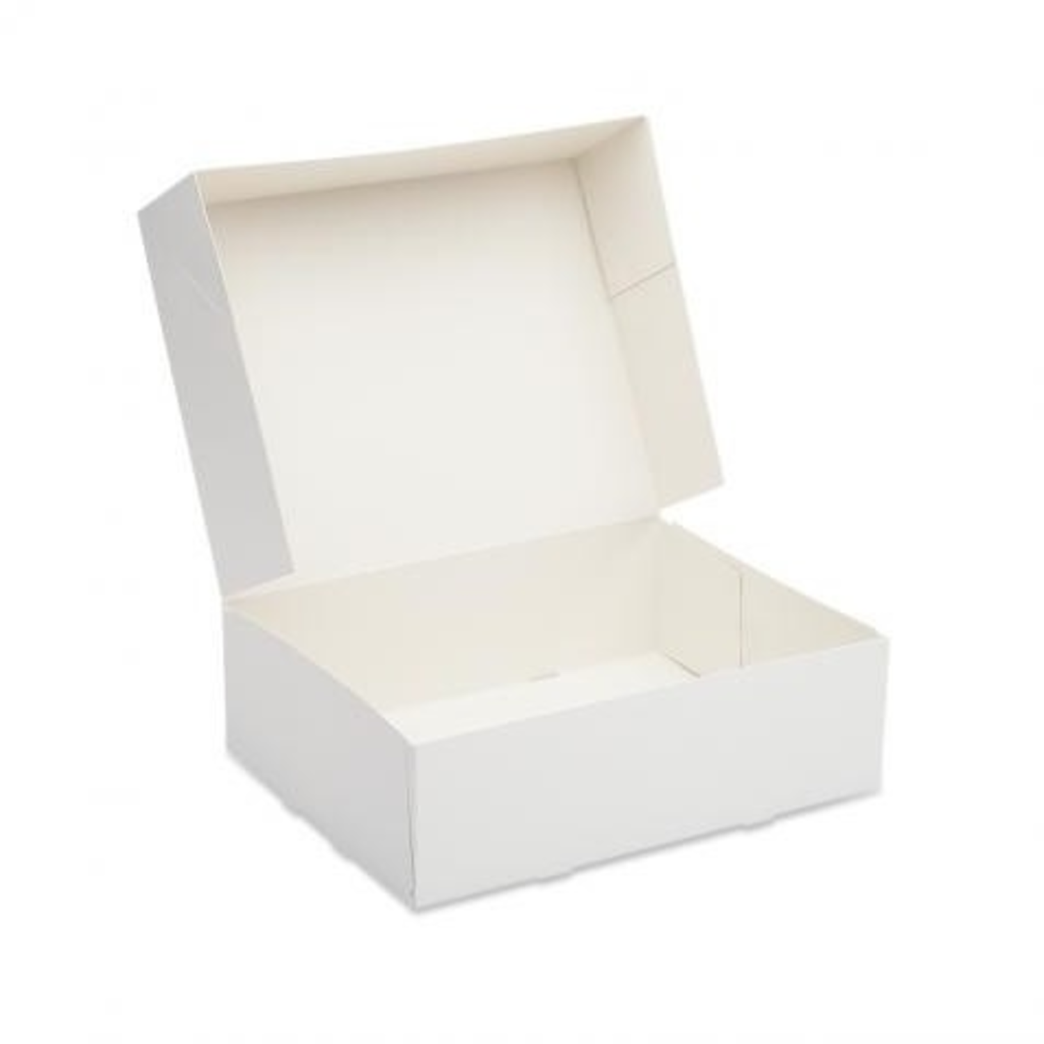 Gebaksdoos Diepvries 24x24x9cm Blanco (100)