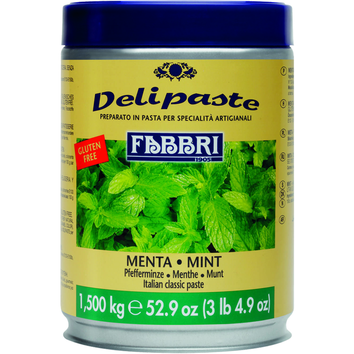 Fabbri Delipasta Mentha Groen 1,5 kg (Mint)