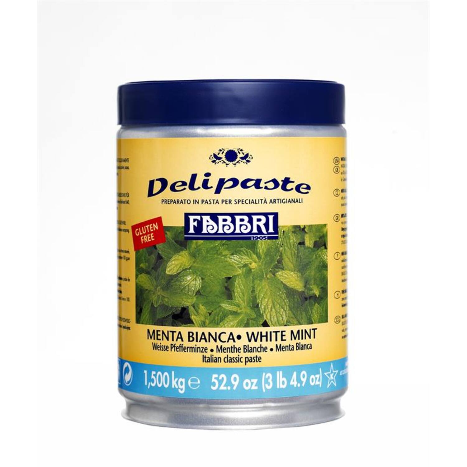 Fabbri Delipasta Mentha Wit 1,5 kg (Mint)