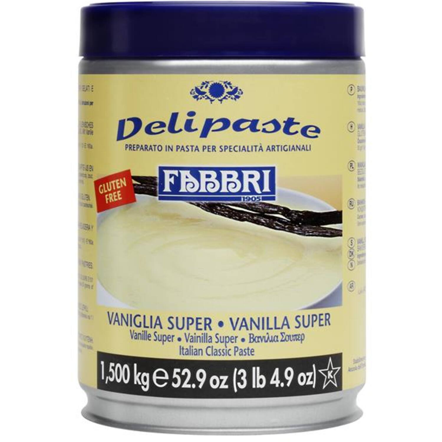 Fabbri Delipasta Vanille Super 1,5 kg