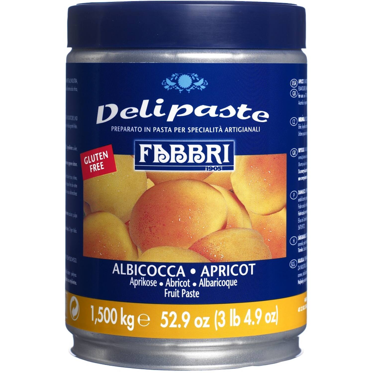 Fabbri Delipasta Abricot 1,5 kg (Abrikoos)