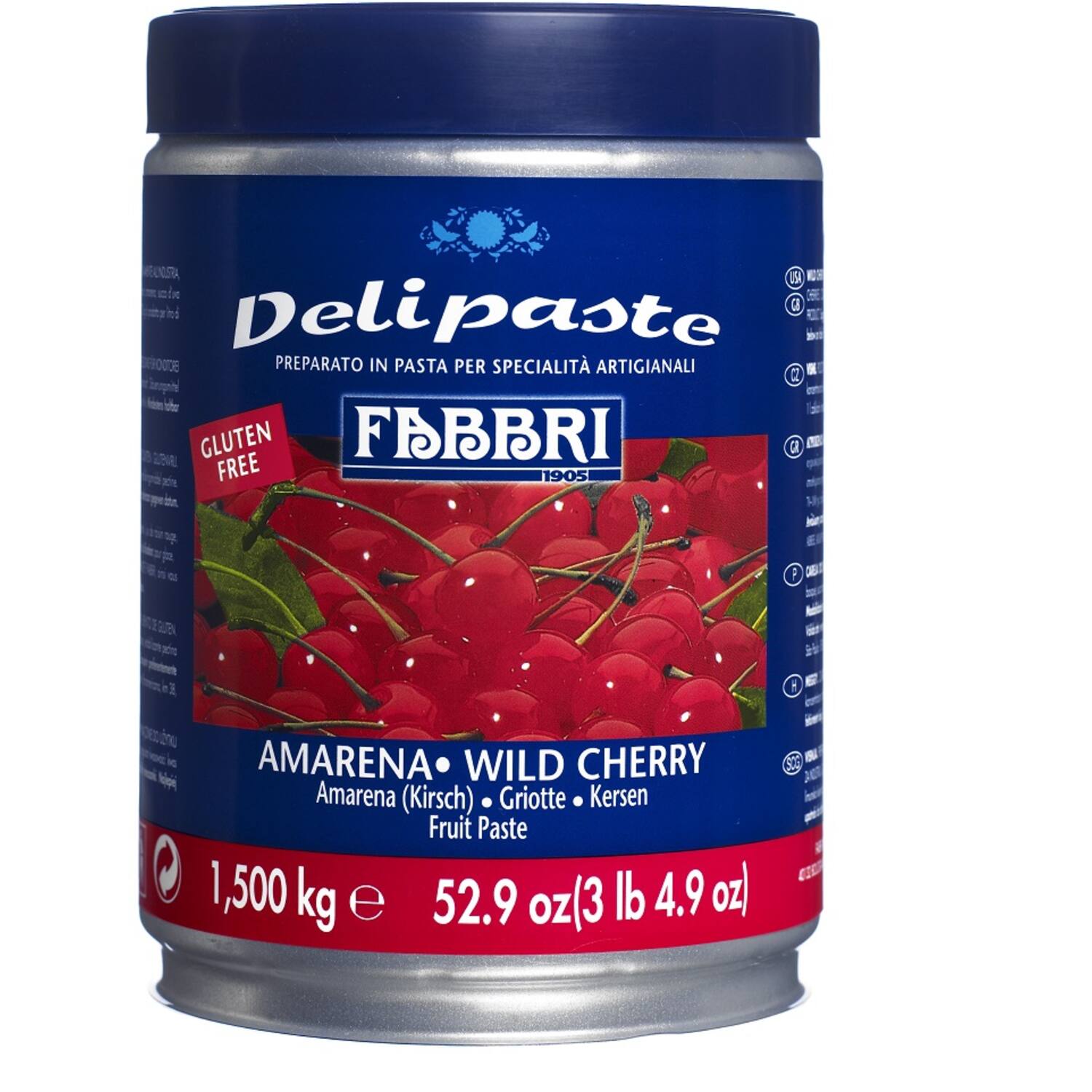Fabbri Delipasta Amarena 1,5 kg (Kers)
