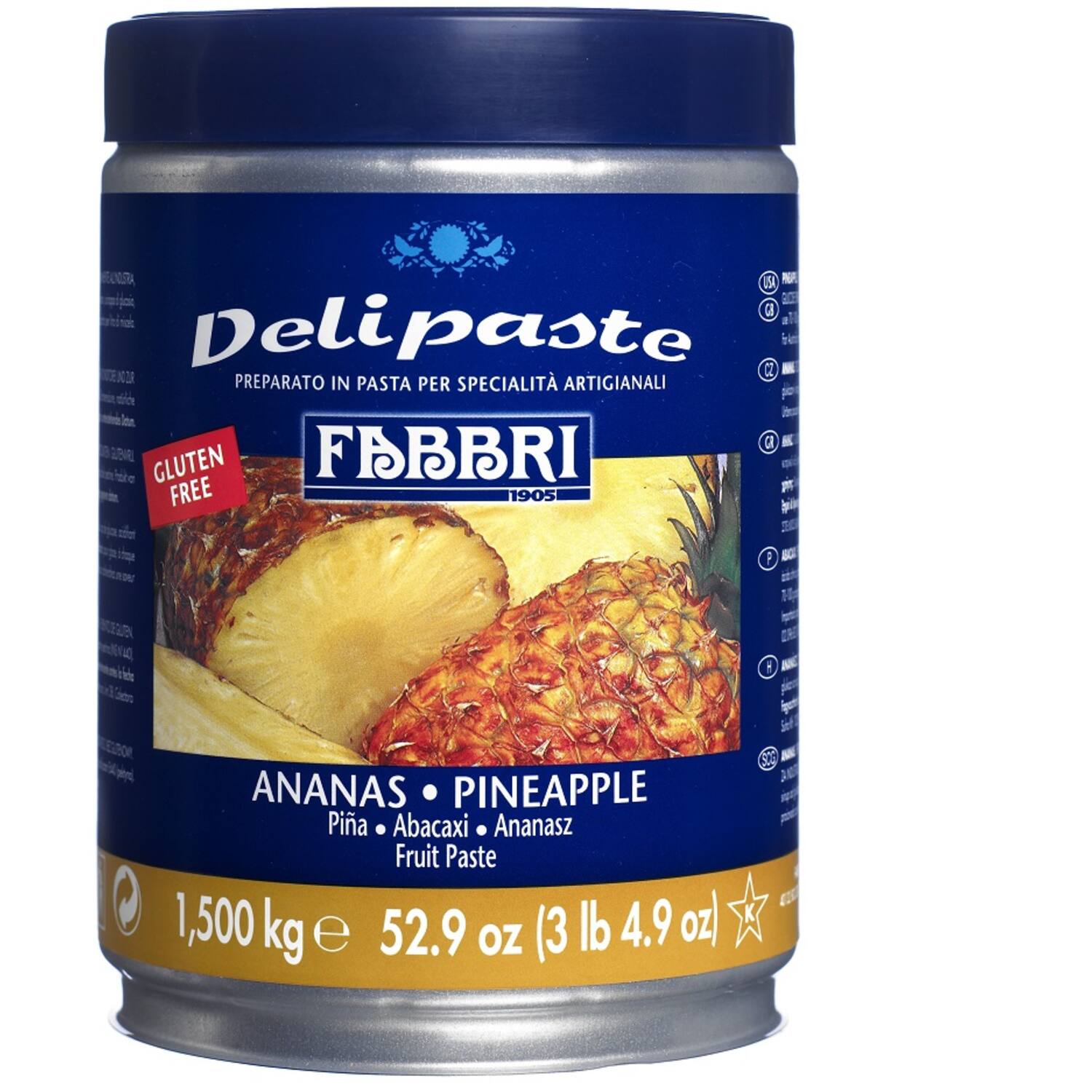 Fabbri Delipasta Ananas 1,5 kg