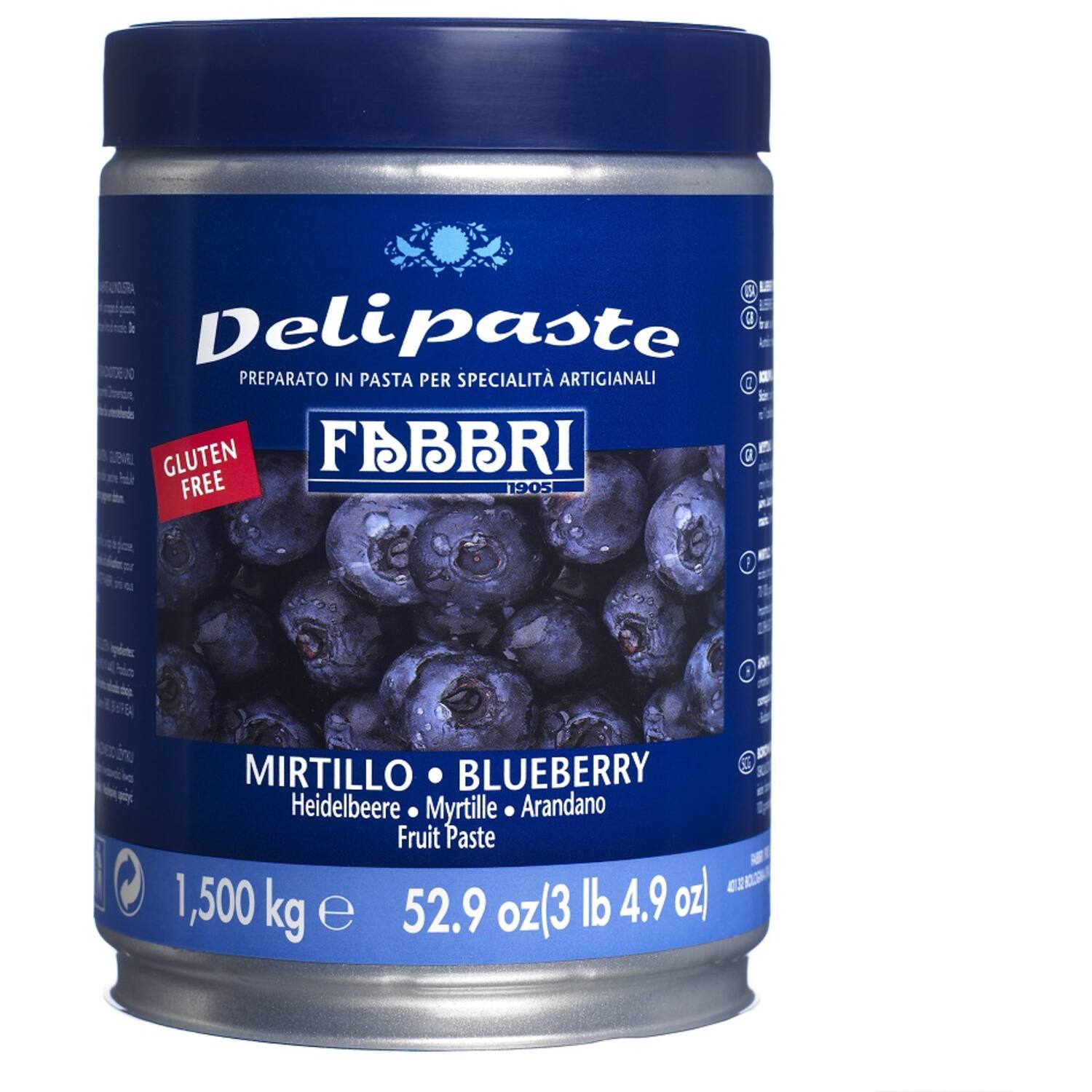 Fabbri Delipasta Mirtillo 1,5 kg (Bosbes)