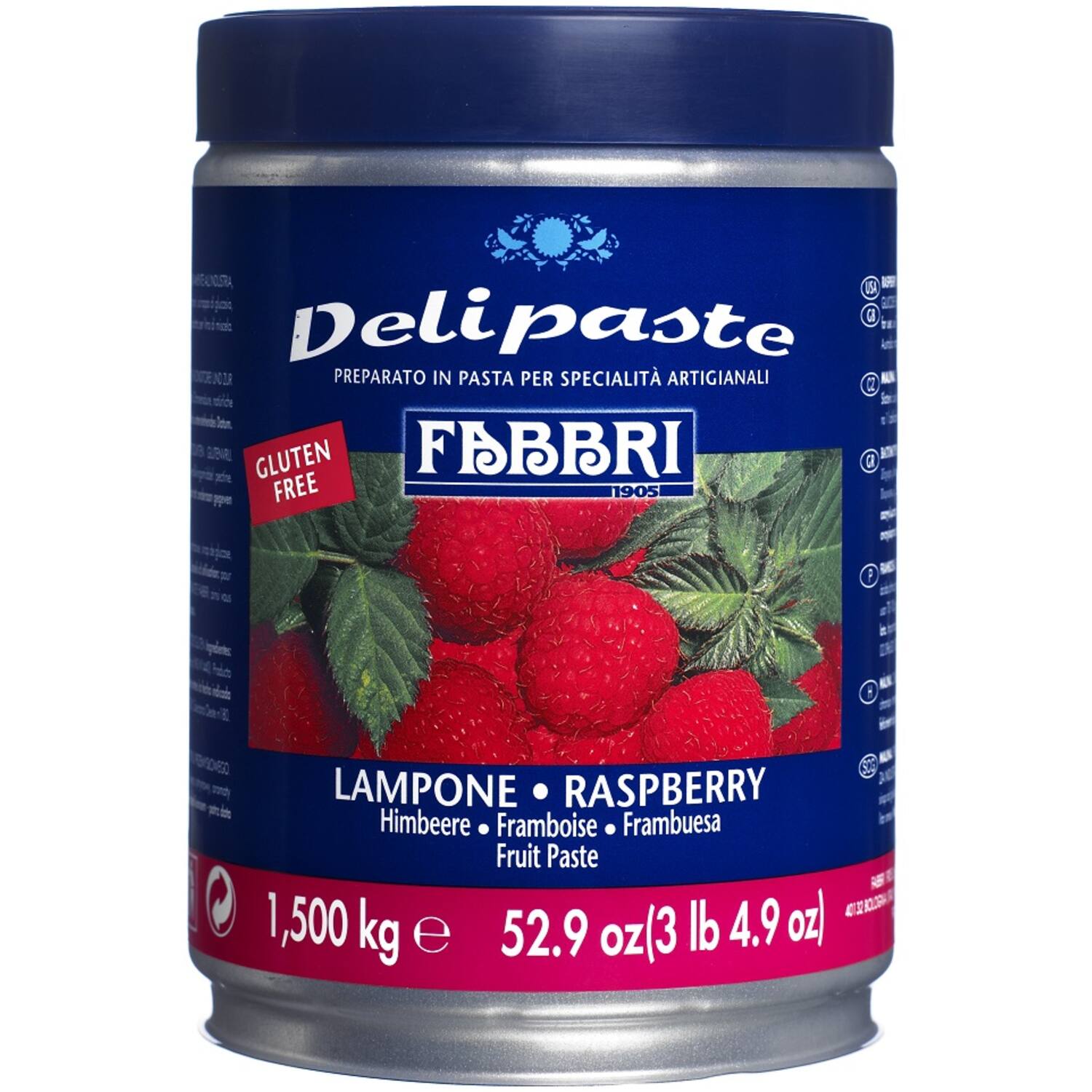 Fabbri Delipasta Framboos 1,5 kg