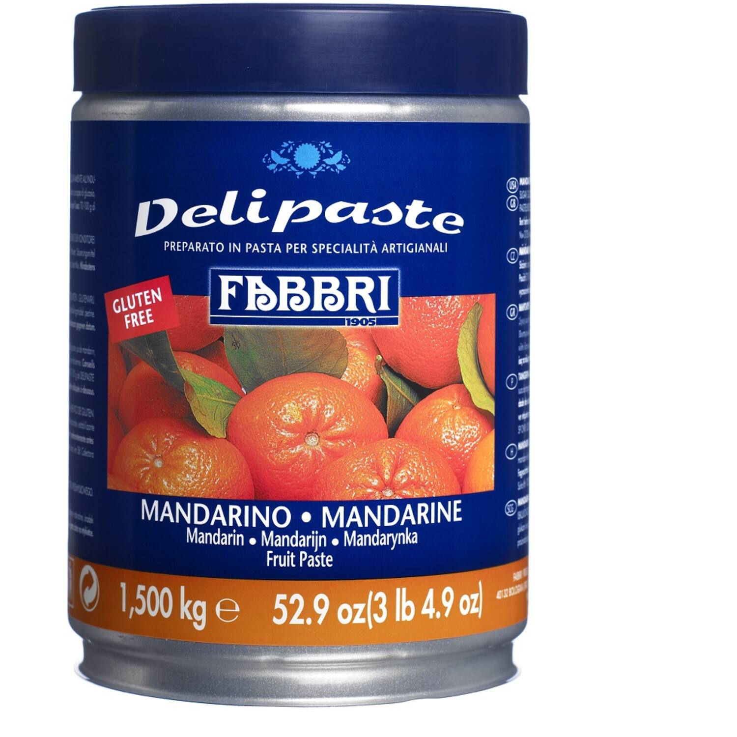 Fabbri Delipasta Mandarijn 1,5 kg