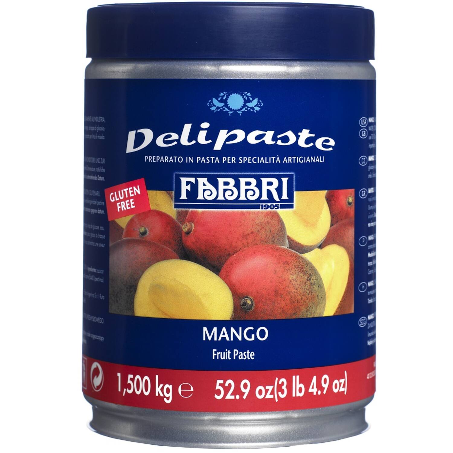 Fabbri Delipasta Mango 1,5 kg