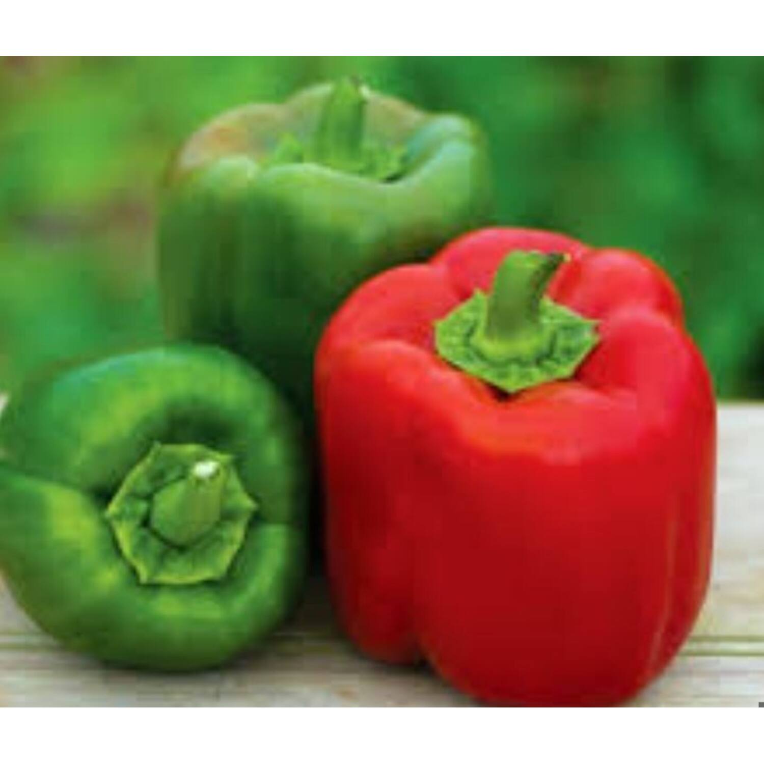Bt Paprikalinten Rood/Groen 10 kg