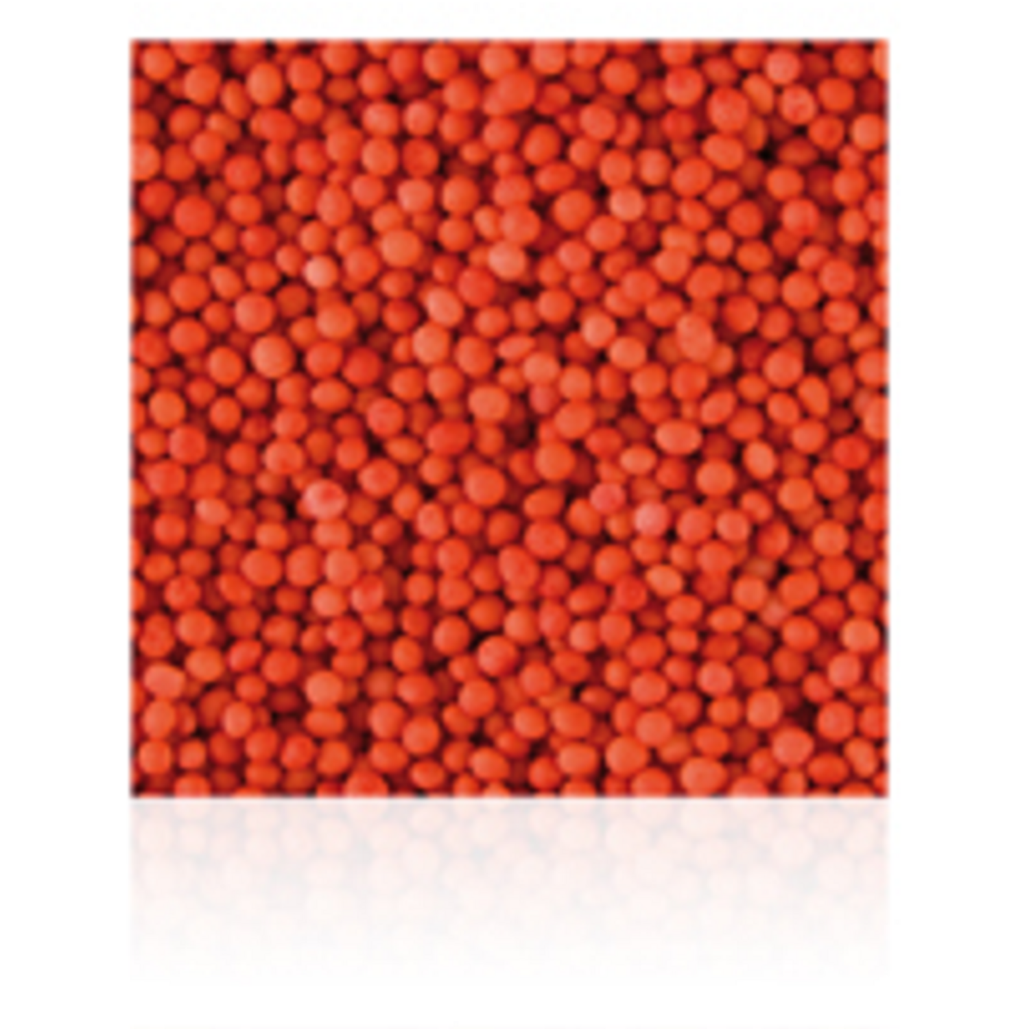 Dekom 7114 Musketzaad Rood 2 kg