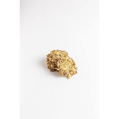 VE 71.108 Havercrackers Snacks Kaas 8 x 15 stuks, foto 2 van 5