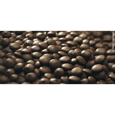 Callebaut Fontein Choc.Puur 2.5 kg(1), foto 3 van 3