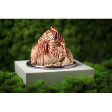 Comprital PC098 Tiramisu Imperiale ( Met Mascarpone ) 3 kg, foto 2 van 2