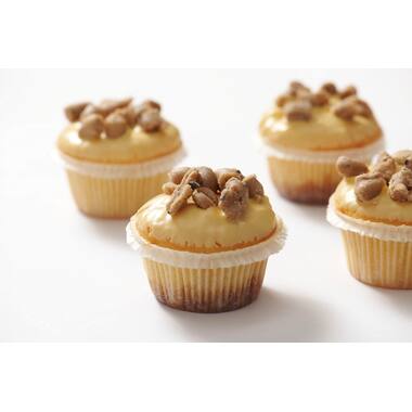 VBF 308006 Cookie Dough Chunks Chocolate Chip Large 10 kg, foto 6 van 6